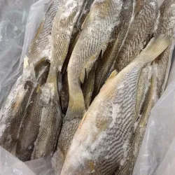 Cais de Itajaí - Itajai