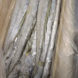 Cais de Itajaí - Itajai