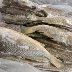 Cais de Itajaí - Itajai