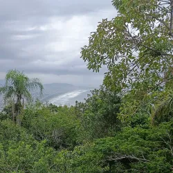 Parque Natural Municipal do Atalaia - Itajai