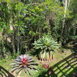 Parque Natural Municipal do Atalaia - Itajai