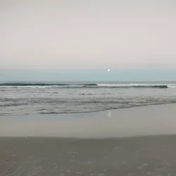 Praia Brava - Itajai