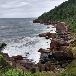 Praia Brava - Itajai