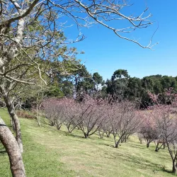 Centro Cultural de Itapevi - Itapevi