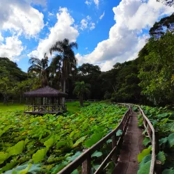Centro Cultural de Itapevi - Itapevi