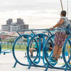 Parque Natural Municipal Itapevi - Itapevi