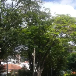 Praça 18 de Fevereiro - Itapevi