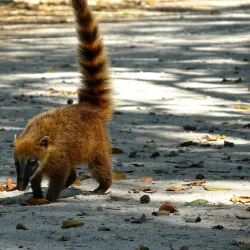 Parque Ecológico do Tietê - Itaquaquecetuba