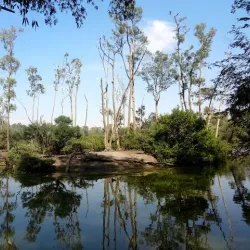 Parque Ecológico do Tietê - Itaquaquecetuba