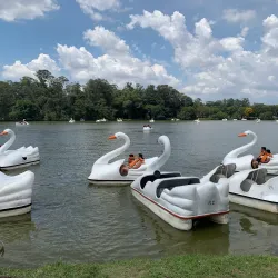 Parque Ecológico do Tietê - Itaquaquecetuba