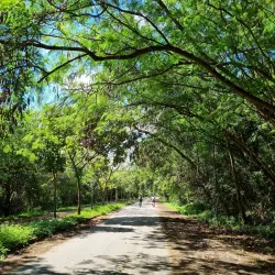 Parque Ecológico do Tietê - Itaquaquecetuba