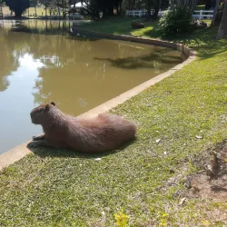 Parque Ecológico do Tietê - Itaquaquecetuba