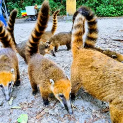 Parque Ecológico do Tietê - Itaquaquecetuba