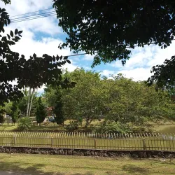 Parque Municipal da Cidade - Itaquaquecetuba