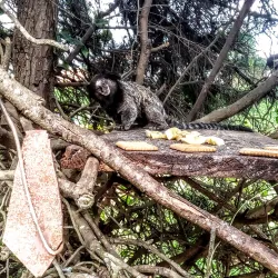 Captivating view of Itatiba city