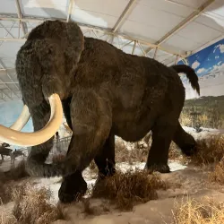 Parque das Águas - Itatiba