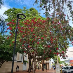 Praça da Matriz - Itumbiara