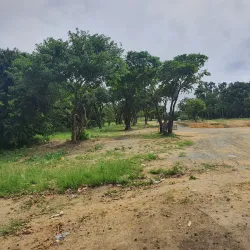 Parque Natural Municipal de Muribeca - Jaboatão dos Guararapes