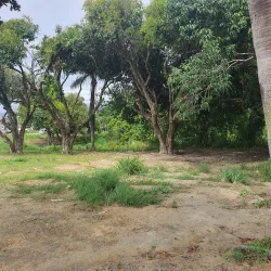 Parque Natural Municipal de Muribeca - Jaboatão dos Guararapes