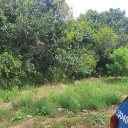 Parque Natural Municipal de Muribeca - Jaboatão dos Guararapes