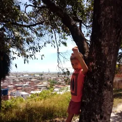 Parque Natural Municipal de Muribeca - Jaboatão dos Guararapes