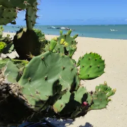 Praia de Candeias - Jaboatão dos Guararapes