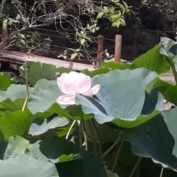 Parque da Cidade - Jacareí