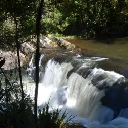 Parque Natural Municipal da Serra do Mar - Jacareí