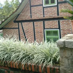 Parque Malwee - Jaragua do Sul