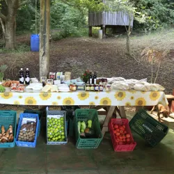 Feira Livre de Jau - Jau - Sao Paolo