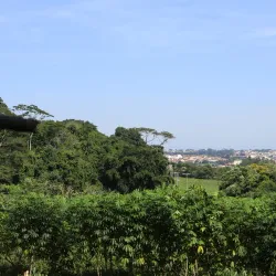 Feira Livre de Jau - Jau - Sao Paolo