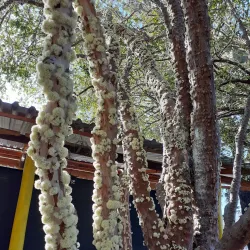 Museu Municipal de Jau - Jau - Sao Paolo