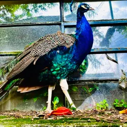 Parque das Águas - Jau - Sao Paolo