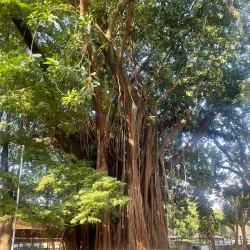 Parque das Águas - Jau - Sao Paolo