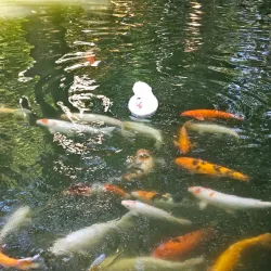 Parque das Águas - Jau - Sao Paolo