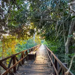 Parque Natural Municipal do Setor 03 - Ji-Parana