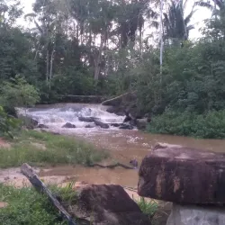 Rio Machado - Ji-Parana