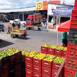 Mercado do Produtor - Juazeiro