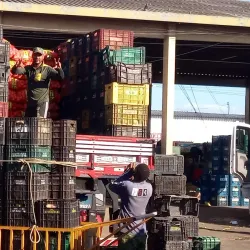 Mercado do Produtor - Juazeiro