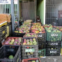 Mercado do Produtor - Juazeiro