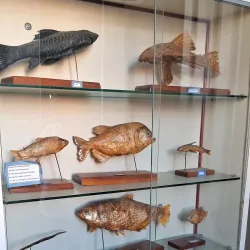 Museu Regional de Juazeiro - Juazeiro