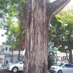 Catedral Metropolitana de Juiz de Fora - Juiz de Fora