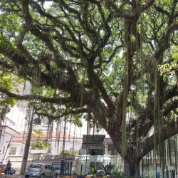 Igreja São Sebastião - Juiz de Fora