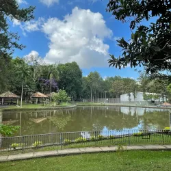Parque da Cidade - Juiz de Fora