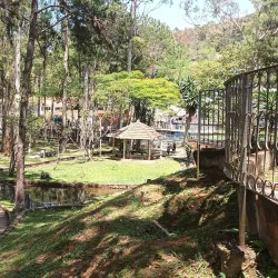 Parque da Cidade - Juiz de Fora