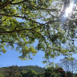 Parque da Lajinha - Juiz de Fora