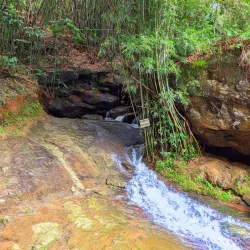 Parque da Lajinha - Juiz de Fora
