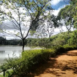 Parque Natural Municipal da Lajinha - Juiz de Fora