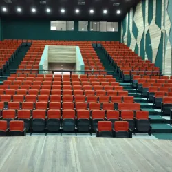 Teatro Paschoal Carlos Magno - Juiz de Fora