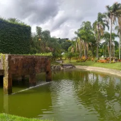 Jardim Botânico de Jundiaí - Jundiai